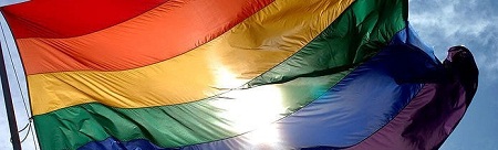 Gay Flag