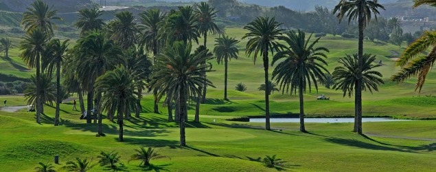 El Cortijo Golf