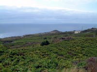 Vineyards